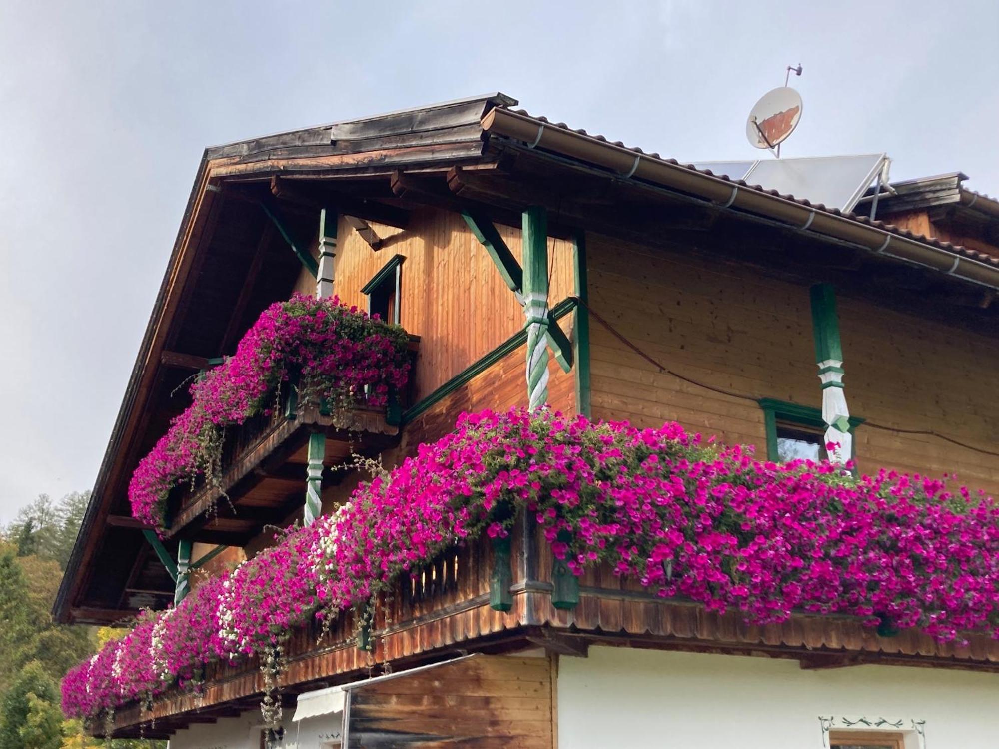 Appartamento Oefnerhof Leutasch Esterno foto
