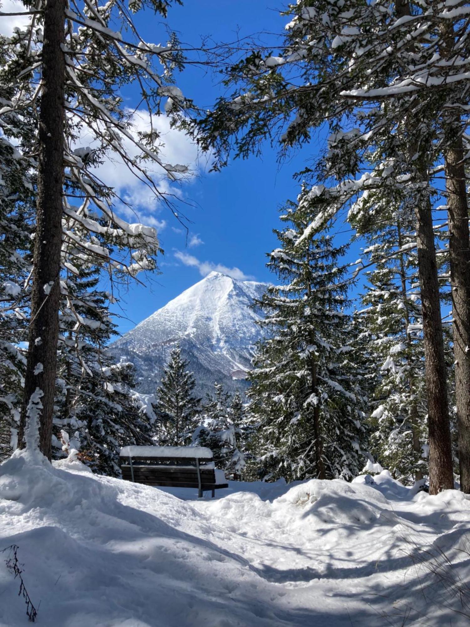 Appartamento Oefnerhof Leutasch Esterno foto